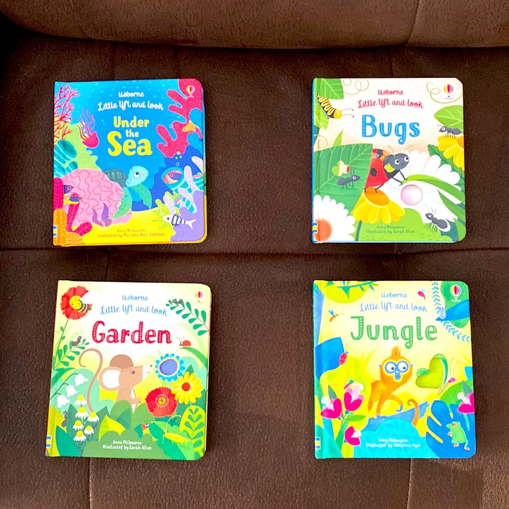 Usborne Little Lift and Look books- set of 4